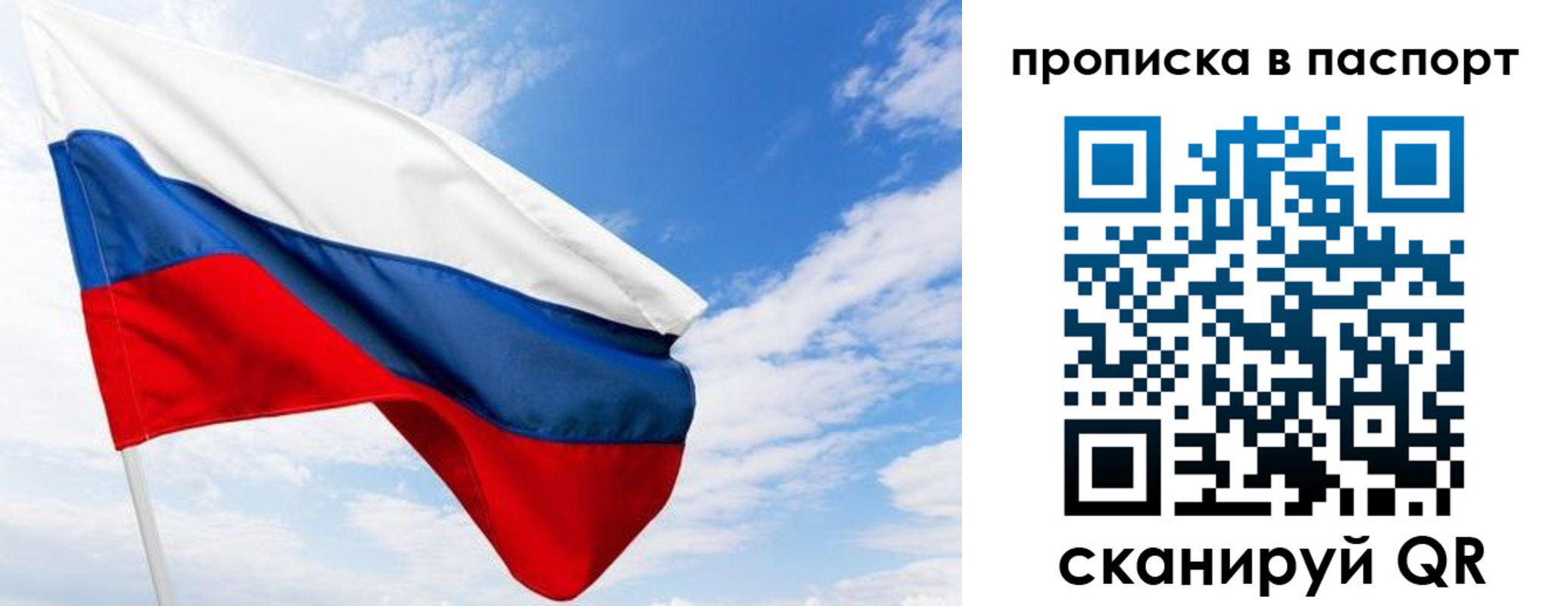 прописка поиск в Королёве